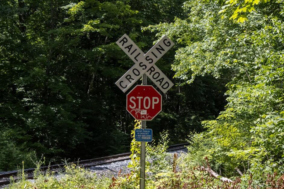 Photo by Tim Dusenberry on Pexels