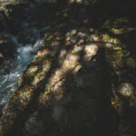 Tupelo Water and Light to Close Section of West Jefferson Street for Emergency Sewer Work Photo by Francesco Ungaro on Pexels