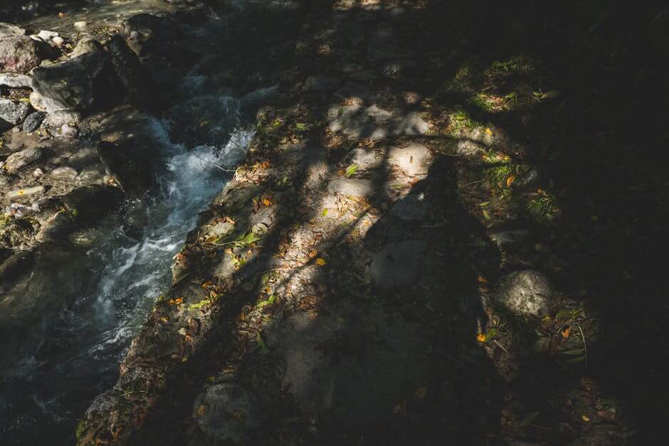 Photo by Francesco Ungaro on Pexels