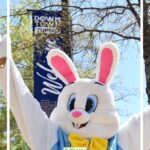 Springtime blooms brighten downtown Tupelo Downtown, spring looks so good on you!☀️🌸