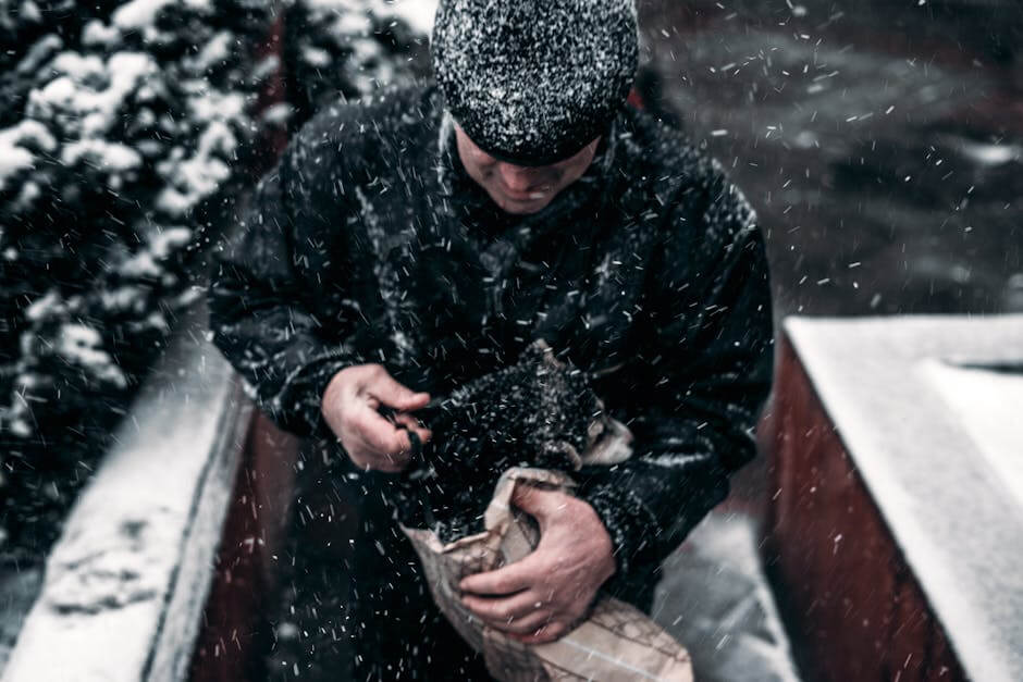 Photo by Elijah O'Donnell on Pexels