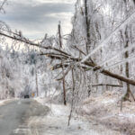 Federal Disaster Assistance Approved for Tupelo, Lee County After January Winter Storm CAT_WinterStorm