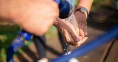 Tupelo Water & Light warns of scam calls claiming to disconnect service Photo by Kampus Production on Pexels