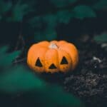 TCT Off-Broadway opens 'The Woman in Black' for spooky season Photo by Lisa Fotios on Pexels
