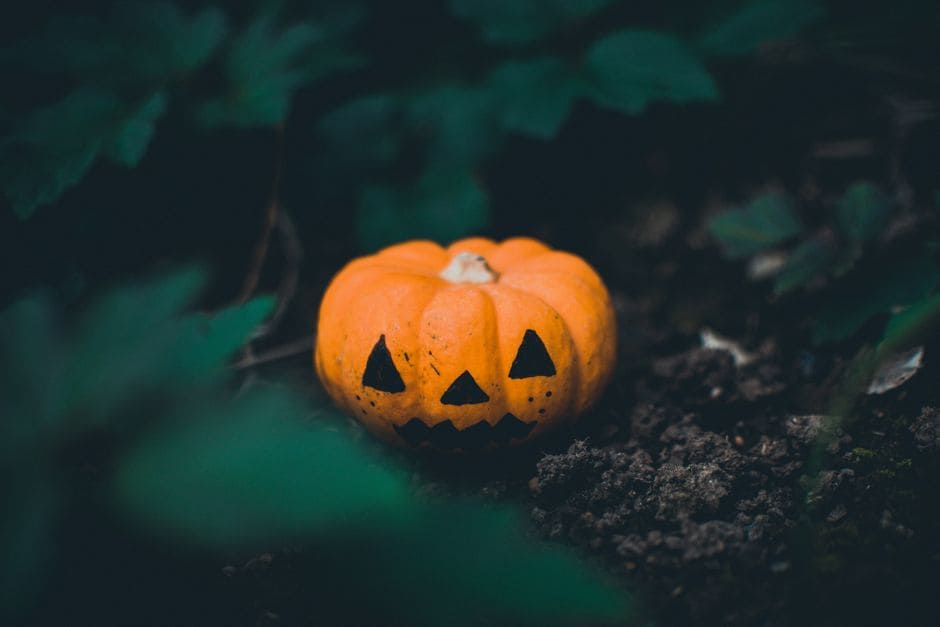 Photo by Lisa Fotios on Pexels